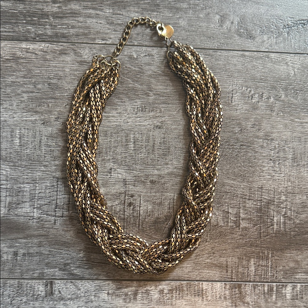 Francesca's Collections Gold and Silver Braided Necklace